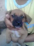 Bebes Capão Redondo