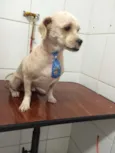 Bebê