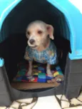 Bebê