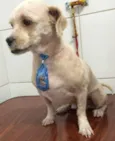 Bebê