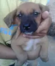 Bebes Capão Redondo