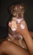 Marrozinha