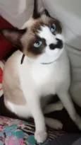 Dionísio 