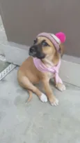 AMY