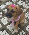 AMY