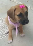AMY