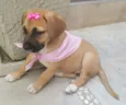 AMY