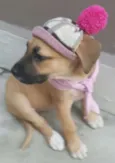 AMY