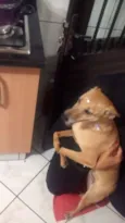 Mel