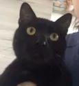 Chumbinho