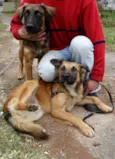 Tico e teco