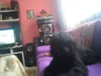 irmãos carinhosos