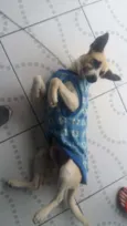 Caramelo