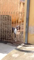 Kika