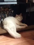 Bela e Leo