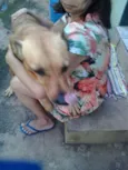 Moça