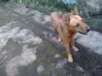 Moça