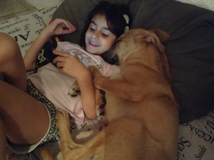 Cachorro ra a SRD idade 1 ano nome Bianca e Clover