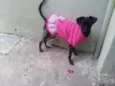 Nega