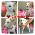 CLARINHA