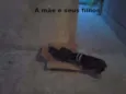 a mãe é lila