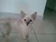 Teo e Princesa