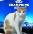 Faísca