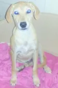 TEKA