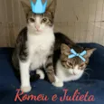 romeu e julieta
