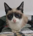 penelope