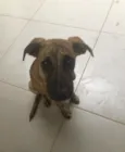Ted