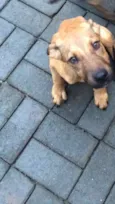 Lucky