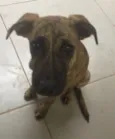 Ted