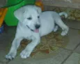 KIARA