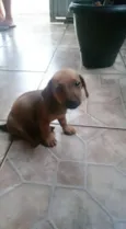 Sem nome ainda