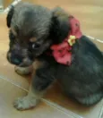 Liza