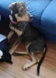 Bob