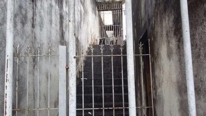 Cachorro ra a Vira lata idade 2 a 6 meses nome Sem nome