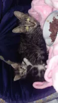 Nina e sua Bebê