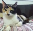 Michu