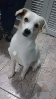 Rauf