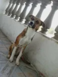 ZORCKY