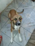 ZORCKY