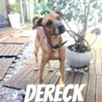 Dereck
