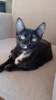Mimi e Bombom