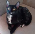 Mimi e Bombom