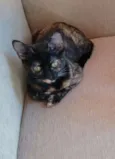 Mimi e Bombom