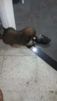 Bilu