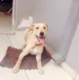 Marley