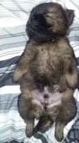 Zeus
